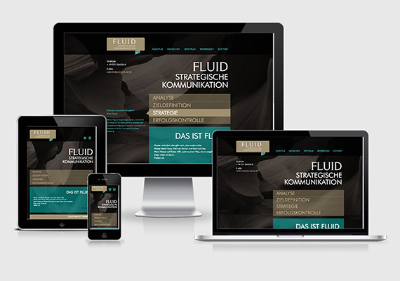 RESPONSIVE WEBSITE 
                                    <br>Grafisches Konzept und Screendesign im Auftrag von FLUID Strategische Kommunikation, www.fluid-sk.de